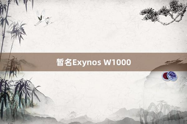 暂名Exynos W1000
